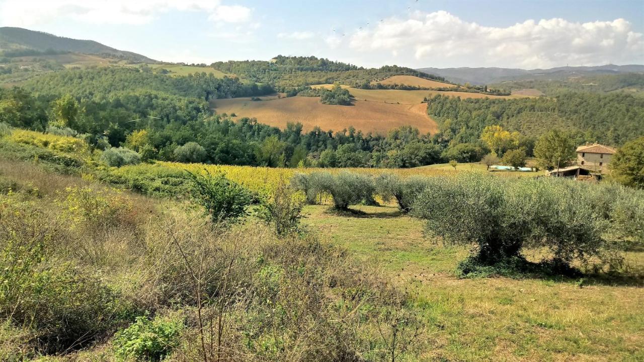 몬테 카스텔로 디 비비오 Campo Al Vento - Country Farm 빌라 외부 사진